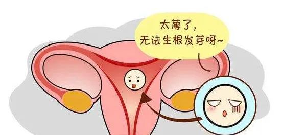 我子宫内膜薄，我还能生育吗？