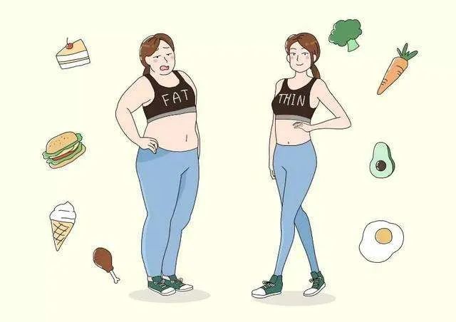 想要减肥却偏偏不掉秤，究其原因你知道多少？