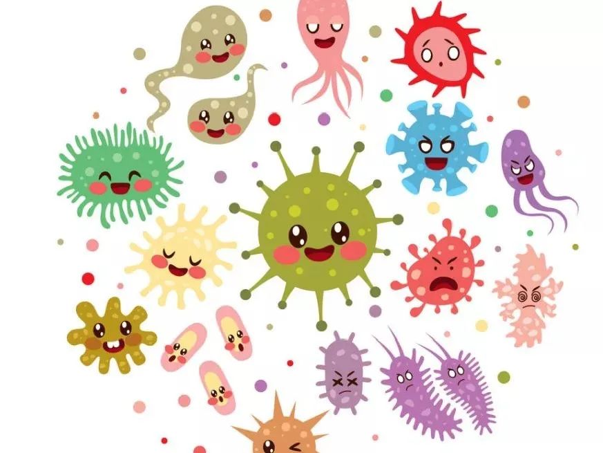 哪些细菌是妇科疾病的元凶？