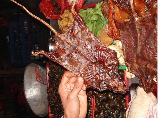 中缅边境最吓人的菜市场，只敢看，不敢买！