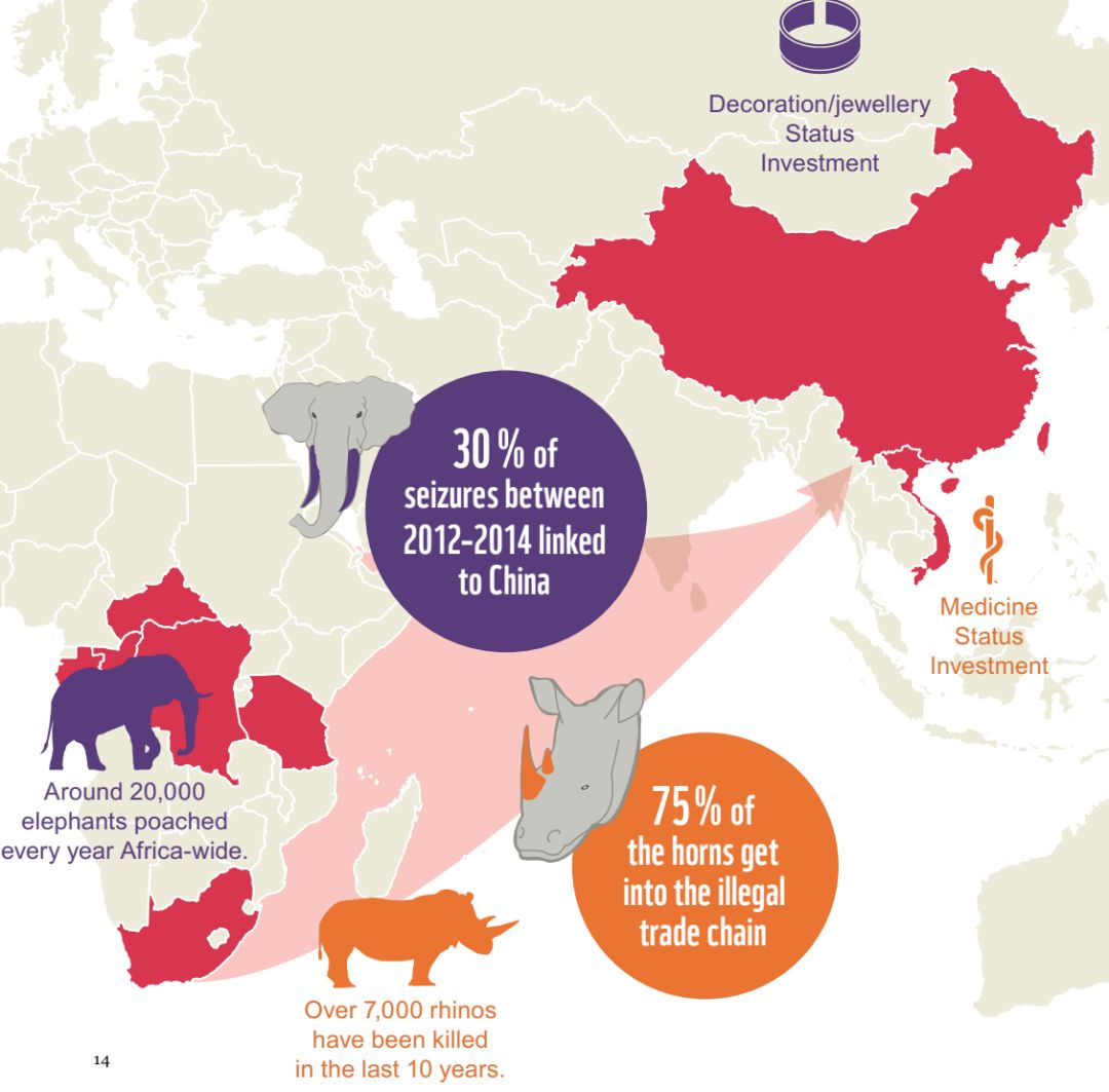 中国人吃绝种了多少动植物？你猜得出来吗？