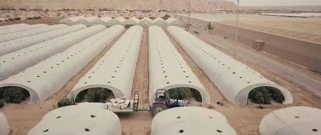 以色列遍地沙漠，为何每年还能出口20多亿美元农产品？
