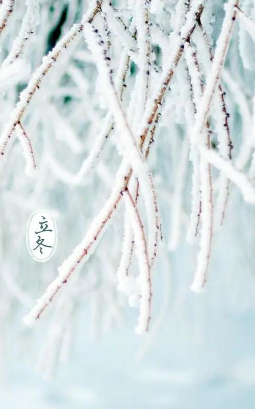 立冬早安祝福语短信，立冬最美的问候语图片