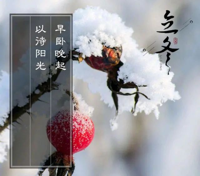 11月7日立冬暖心祝福语精选，立冬节气祝福短信大全！