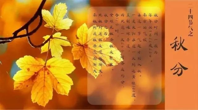 二十四节气秋分朋友圈文案说说大全秋分暖心祝福语