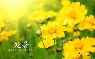 处暑节气祝福文案:只愿与君想对月，幸福常伴永相随​！