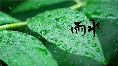 雨水节气经典祝福语 愿你雨水心情畅，美景在前无忧伤！