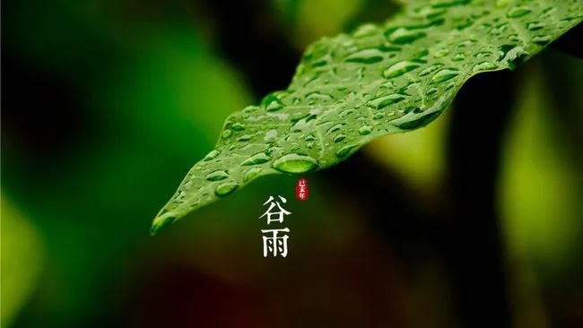 2021谷雨祝福语说说文案：谷雨节气快乐！