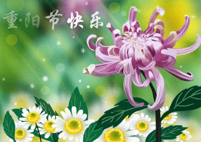 2020年重阳节最新最全经典祝福语 九九重阳节祝福老人的健康吉祥话