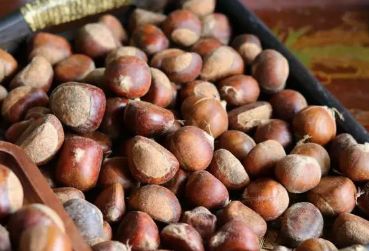 秋天，吃红枣核桃不如吃“千果之王”，5元一斤，每天几颗好处多