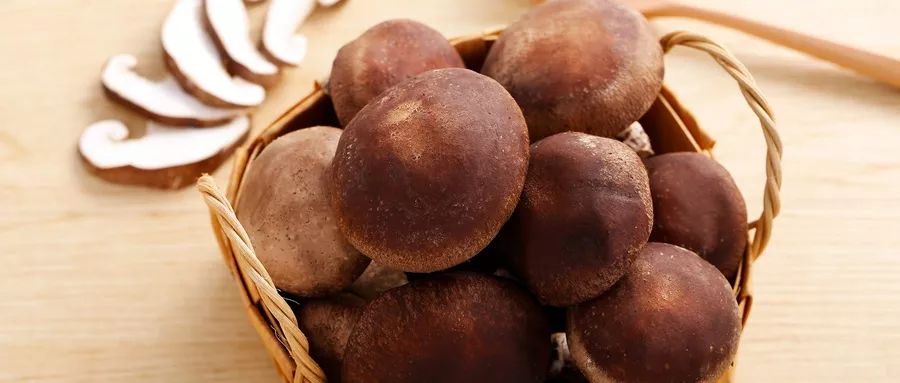 入秋多吃这两种菌菇，搭配它焖出好味道
