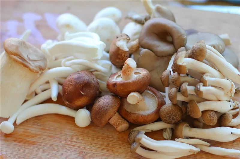 菌菇，素食界的佼佼者，六道美味菌菇菜快吃起来~