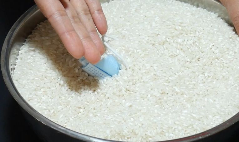 原来保存大米这么简单，不发霉不生虫，简单实用！