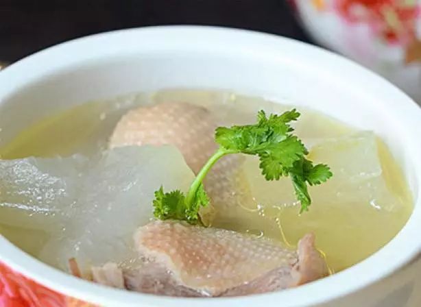 10种美味又养生的老鸭汤来啦！还不进来喝一碗？