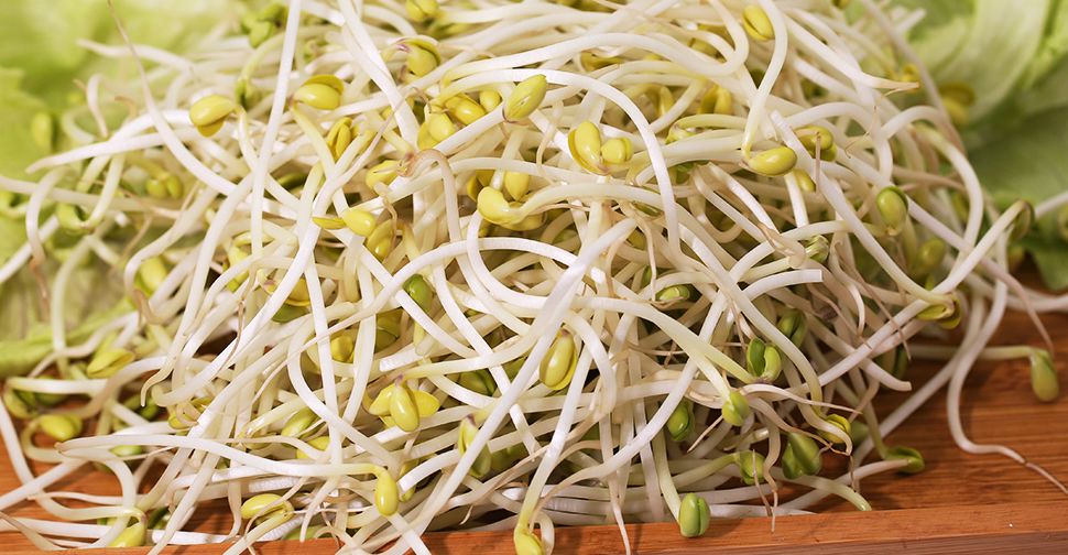 ​素食养生之道：豆芽具有益寿延年的功效，附8个食谱。
