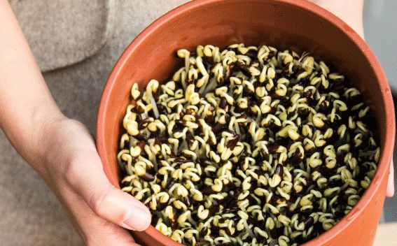 ​素食养生之道：豆芽具有益寿延年的功效，附8个食谱。