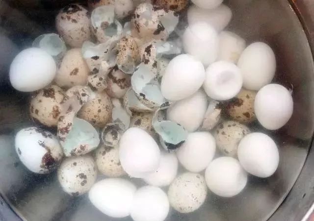 水煮蛋时，蛋壳难剥，学会这一招，连鹌鹑蛋都能“自动”脱壳