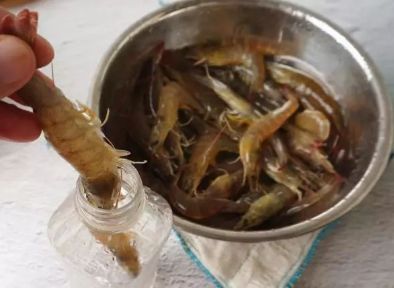 鲜虾不要直接扔冰箱保存，多加这一步，放一年也新鲜，随吃随取