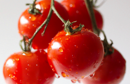 番茄生吃还是熟吃好？原来区别这么大，吃对美白祛斑、抗衰防老！