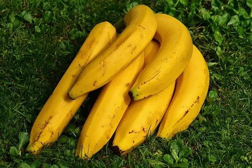 吃香蕉不一定能通肠，而且还可能导致便秘！