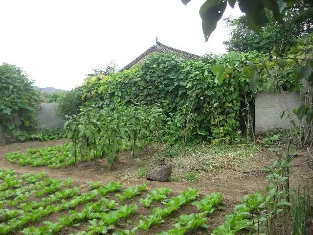 一定要在农村留套房！看完你就懂了..