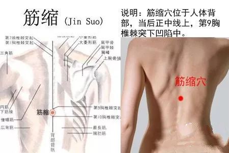 筋缩穴：镇痉熄风、平肝和胃、平肝熄风、宁神镇痉