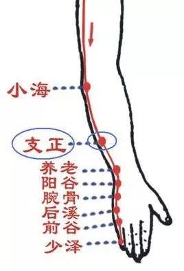 支正穴：头痛、目眩、热病、癫狂