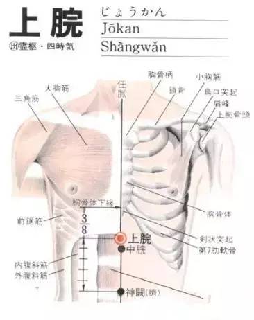 上脘穴：解决胃炎、胃痉挛、胃溃疡、胃下垂等