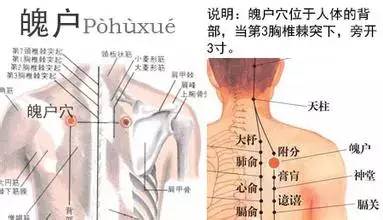 魄户穴： 咳嗽、气喘、肺痨、项强