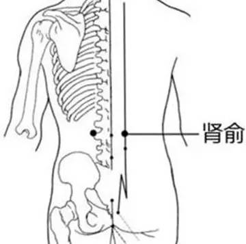 肾俞穴：月经不调、白带、水肿、耳鸣