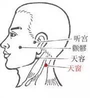 天窗穴：耳鸣、耳聋、咽喉肿痛