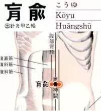 肓俞穴：腹痛绕脐、呕吐、腹胀