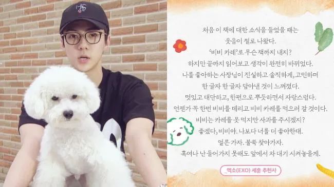 这太暖啦！EXO世勋为粉丝出版的书写推荐词，一切的开端竟是他的超萌爱犬ViVi！