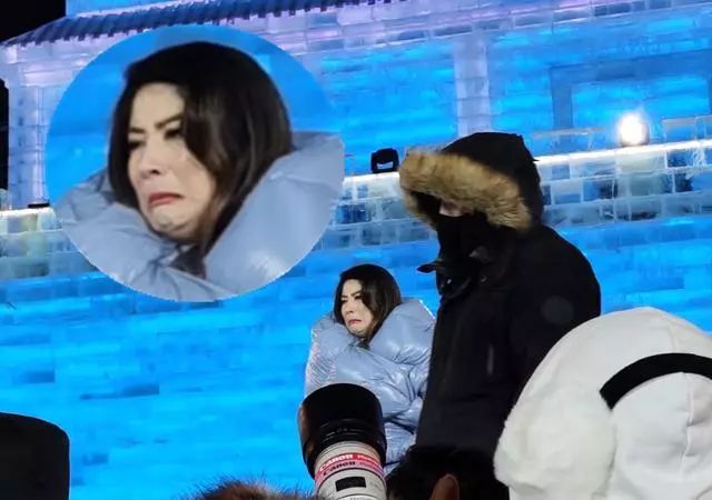 陈慧琳零下20 ℃登台表演，冻出表情包面目狰狞!
