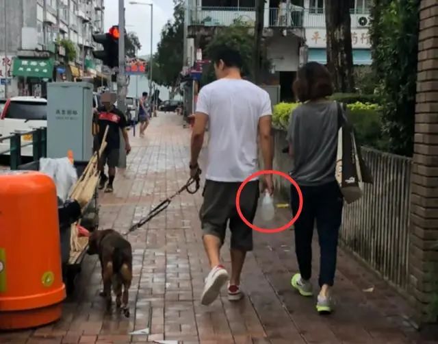 偶遇刘青云夫妇街头遛狗，52岁郭蔼明外形年轻，自备喷水瓶很细心