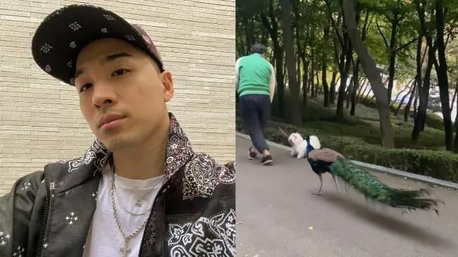 BIGBANG太阳IG惊现跟著宠物狗散步的孔雀，真实身份原来是小有名气的网红！