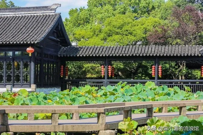 苏州一古镇被誉为吴中第一镇，富人重视私家园林，后花园比古宅美