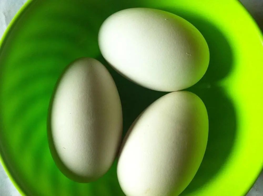 女性怀孕几个月后，吃鹅蛋去胎毒最好？孕妇吃鹅蛋有这几大好处