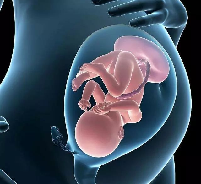 孕期肚子突然一边硬一边软是怎么回事？3个主要原因，孕妇须知