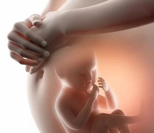 胎儿性别是什么时候决定的？夫妻双方哪个能胎儿性别？