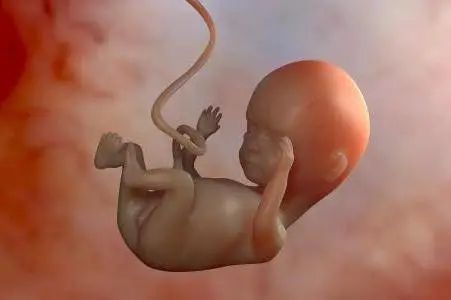 2022年怀孕生男生女表清宫图最新版，备孕虎宝必备！