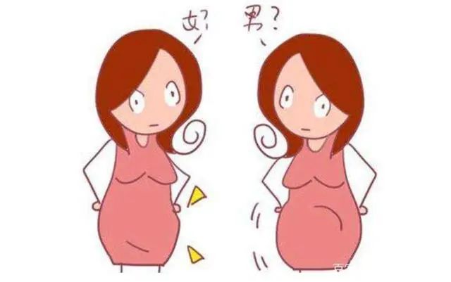 怀女宝和怀男宝，孕期反应大不同？不妨听听过来人的“大实话”