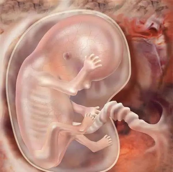 孕妈出现这3个特征，可能怀的是“小公主”，当心胎儿“三个坎儿”！