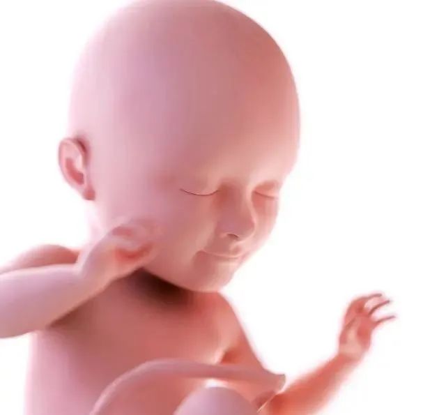 怀孕后，身体出现这3个表现，或许能知道胎儿是男是女