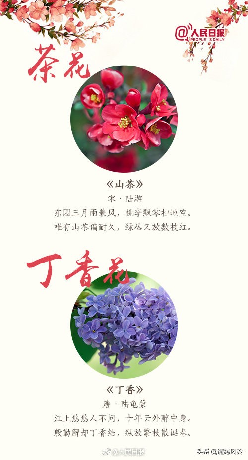 关于含花的古诗词大全