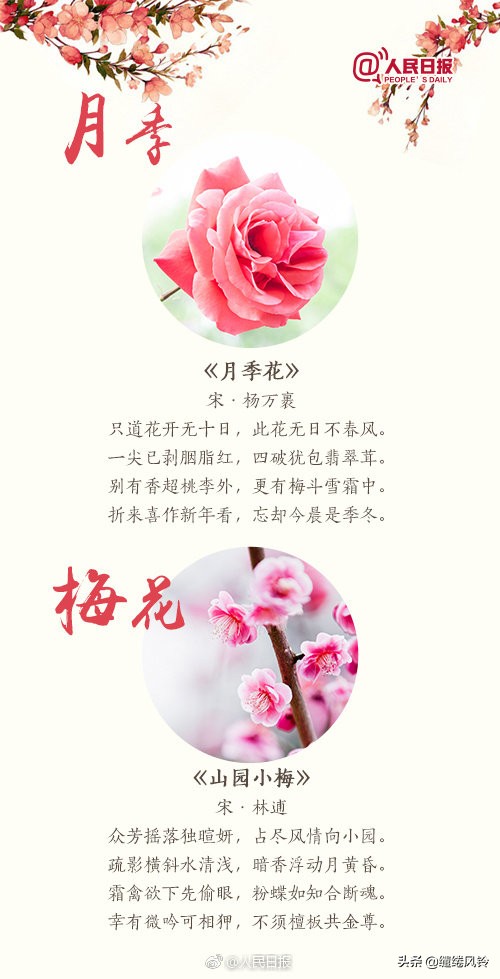 关于含花的古诗词大全