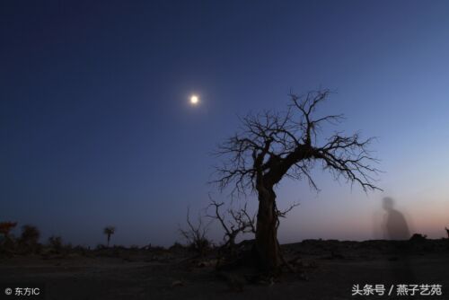 月下独酌诗词赏析