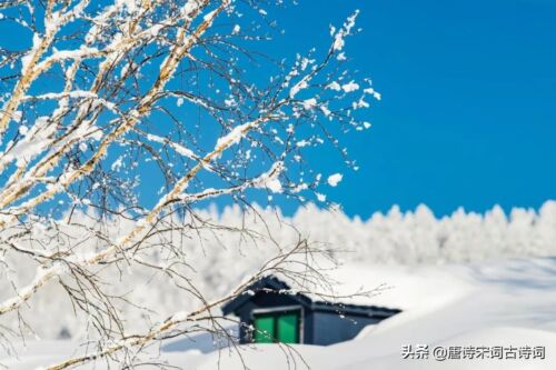 欣赏雪景的句子