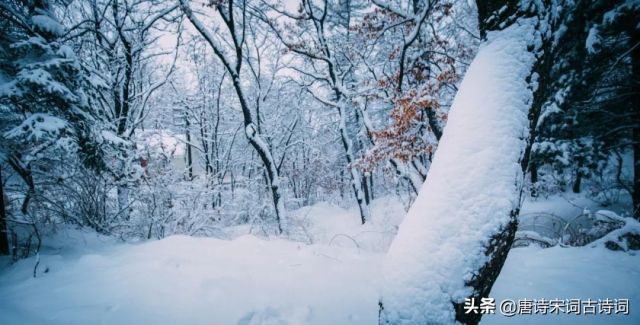 咏雪的名句