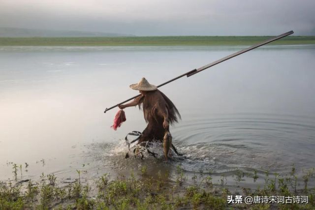 桃花流水鳜鱼肥全诗